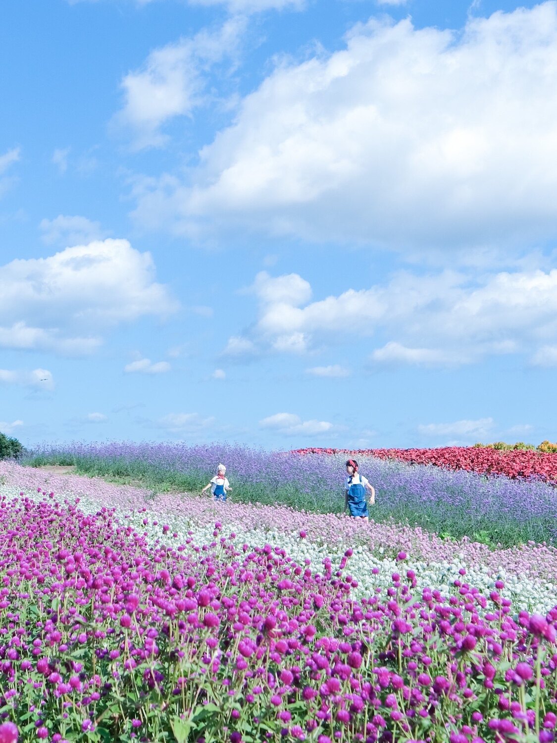 やくらいガーデンのおすすめ写真 動画 東北が誇る花畑 やくらいガーデンにどこでもドアが設置されました 遅 By Amerinco Stayway 写真 動画 評判