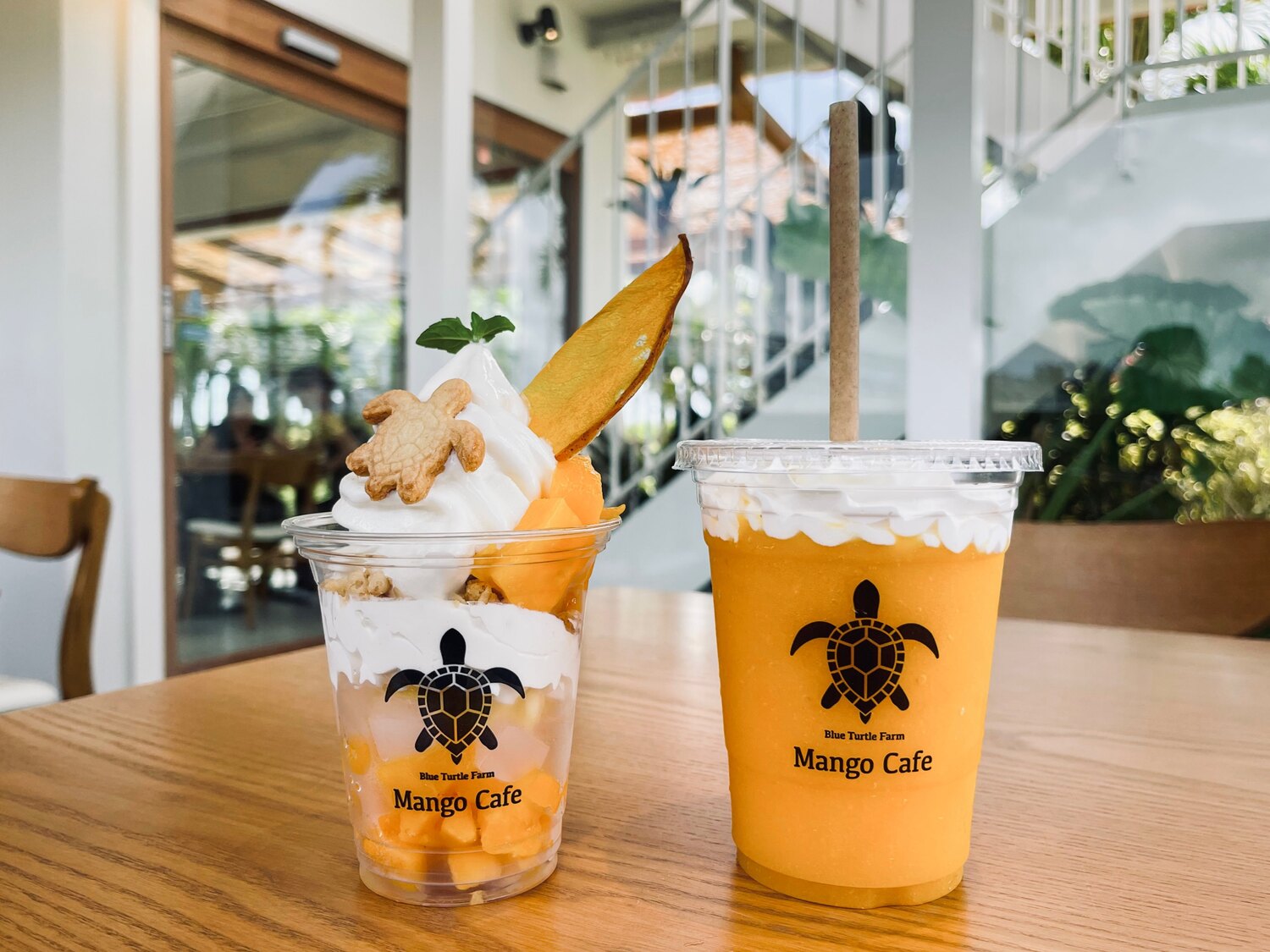 Blue Turtle Farm ＆ Mango cafe（ブルータートルファーム マンゴーカフェ）