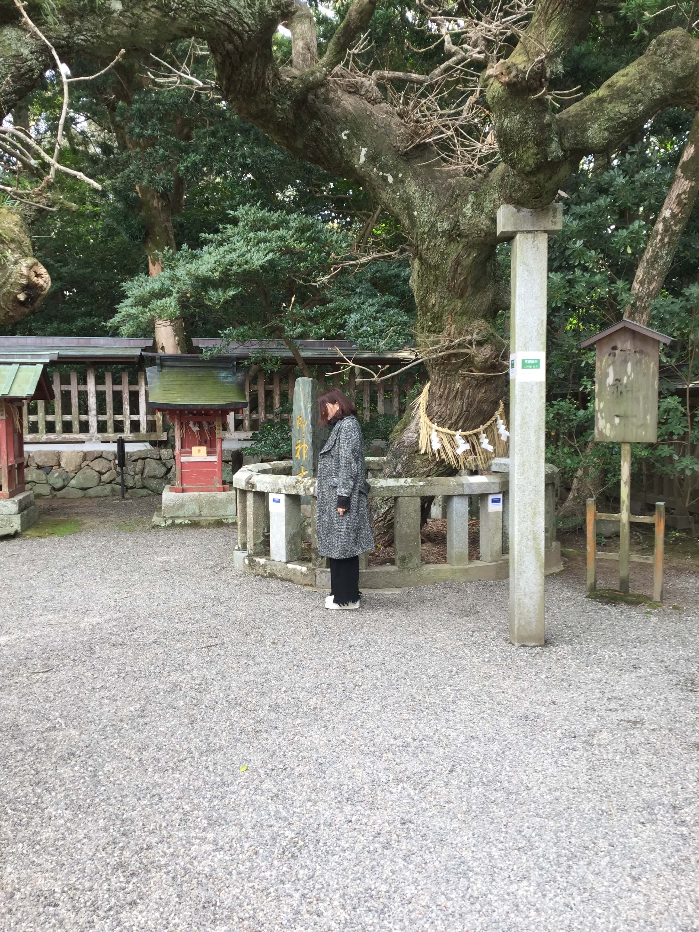 山口県のおすすめホテル 旅館 宿泊の格安予約 料金比較 Stayway