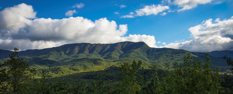 在住者おすすめ30選 アメリカで訪れたい人気観光地 Stayway