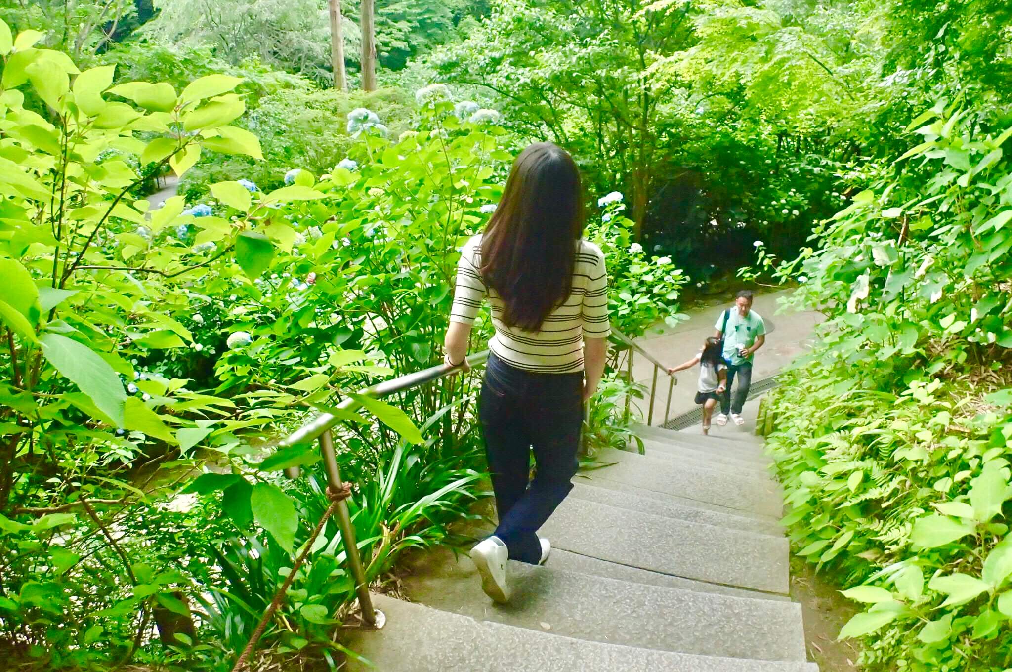 次の休日はここで決まり 東京周辺の自然 癒しスポット特集 Stayway