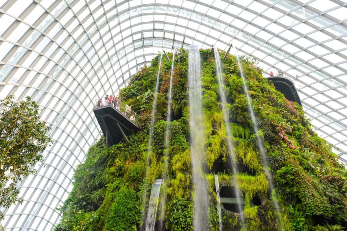緑あふれる世界遺産 シンガポール植物園を2箇所ご紹介 Stayway 緑あふれる世界遺産 シンガポール植物園を2箇所ご紹介 Stayway