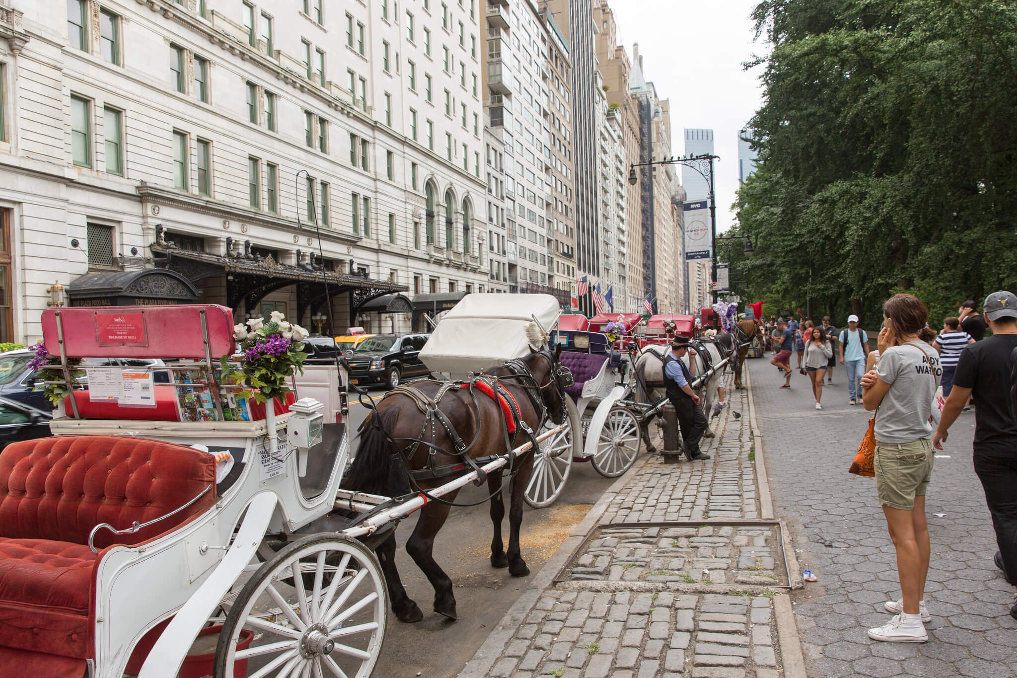 在住者お勧め ニューヨークのセントラル パークを100 楽しむ完全ガイド Stayway