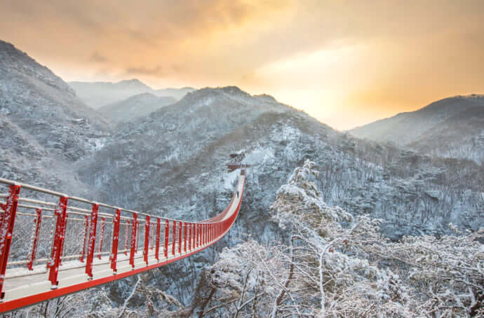 海外観光局に取材 第10弾 韓国 韓国の冬旅行を楽しもう Stayway