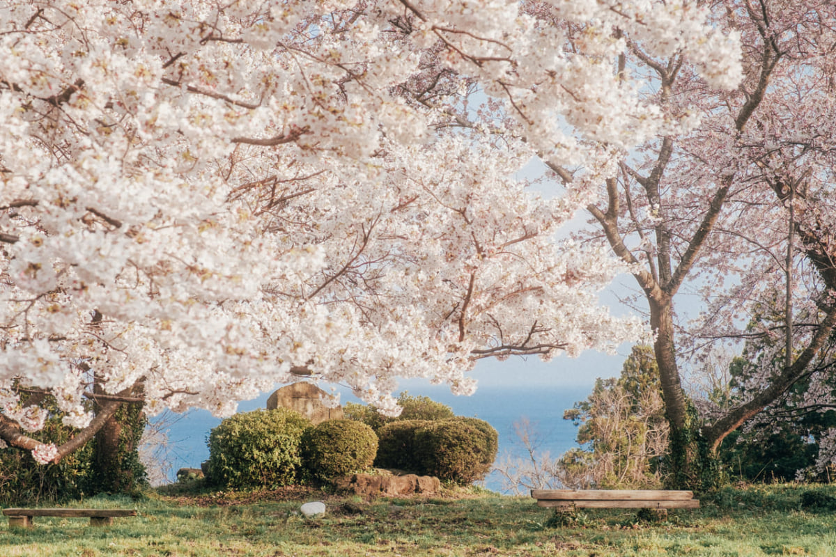 季節別 栃木の花の観光名所10選 Stayway