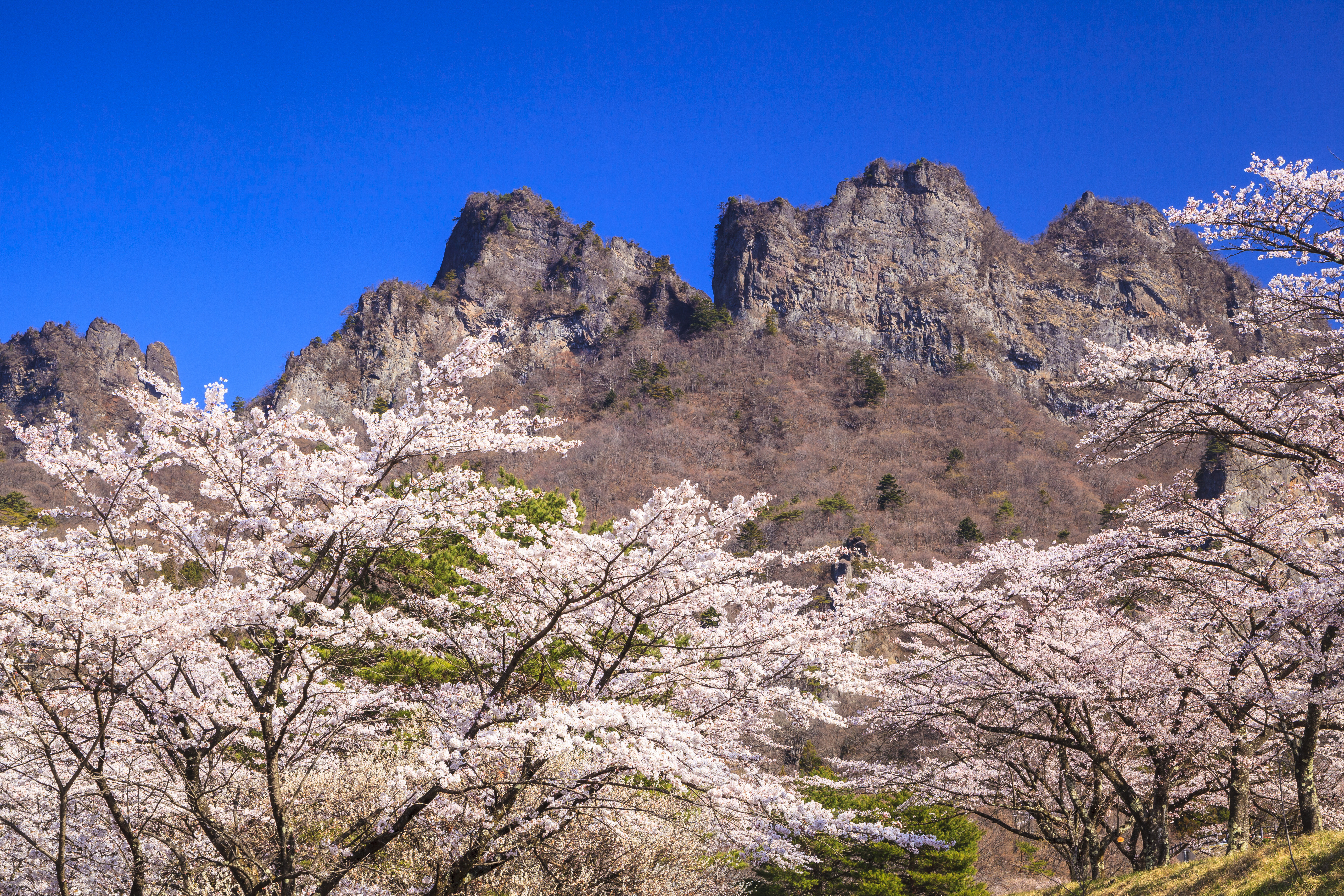 穴場 デートにもおすすめ 群馬の桜の名所12選 Stayway