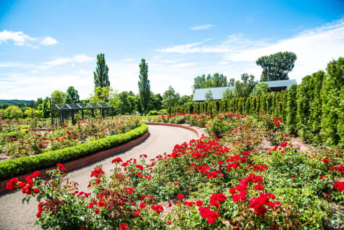 北海道 岩見沢市出身の筆者が選ぶおすすめ 観光スポット１２選 Stayway