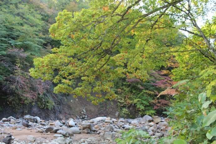 岩手八幡平の大自然 トレッキングを楽しめる 1泊2日観光モデルコース Stayway