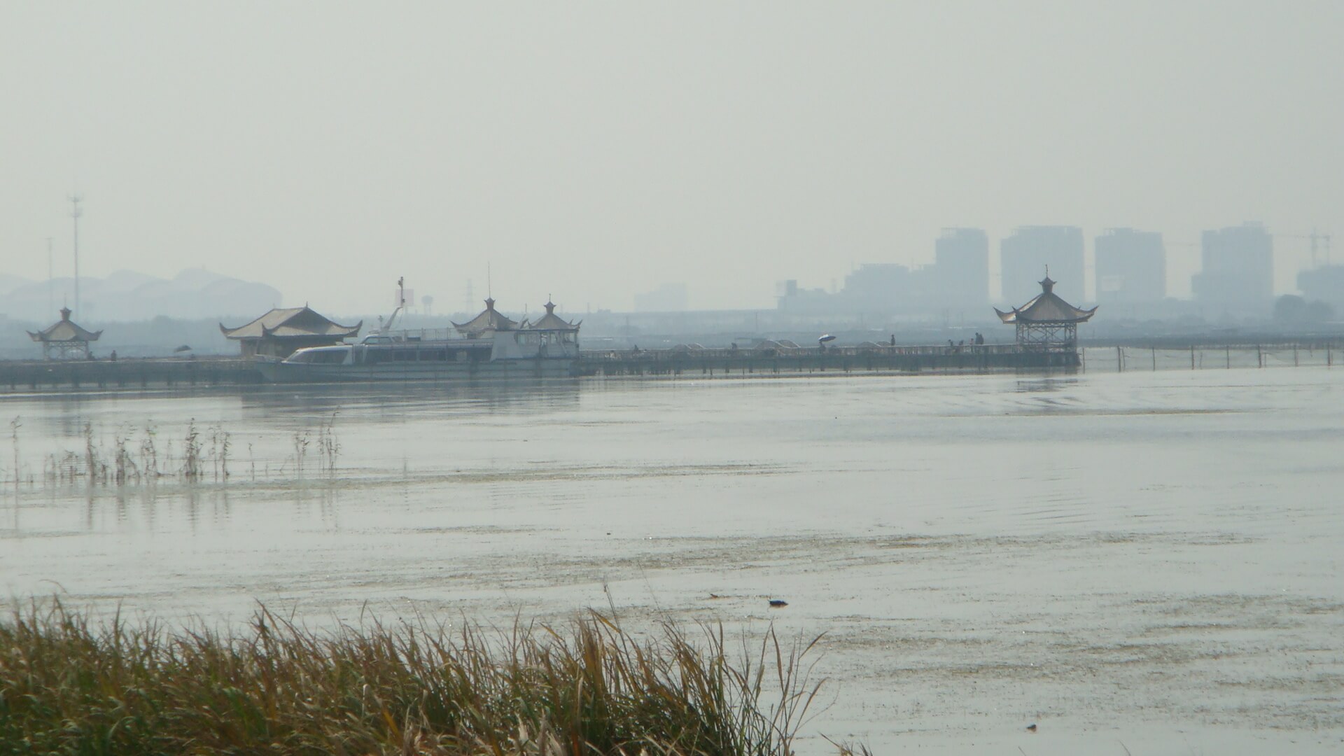 秋の絶品 上海に来たら外せない上海蟹 在住者が教える二大人気店 Stayway