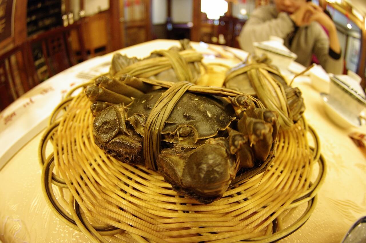 秋の絶品 上海に来たら外せない上海蟹 在住者が教える二大人気店 Stayway