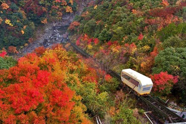 秘境の中に隠された名湯を探せ 徳島のおすすめ温泉スポット5選 Stayway