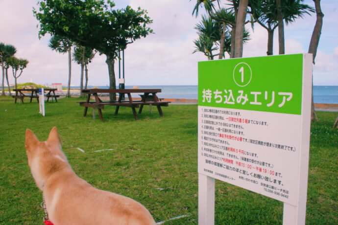 沖縄地元文化 ビーチパーティ 沖縄本島おすすめスポット11選 Stayway