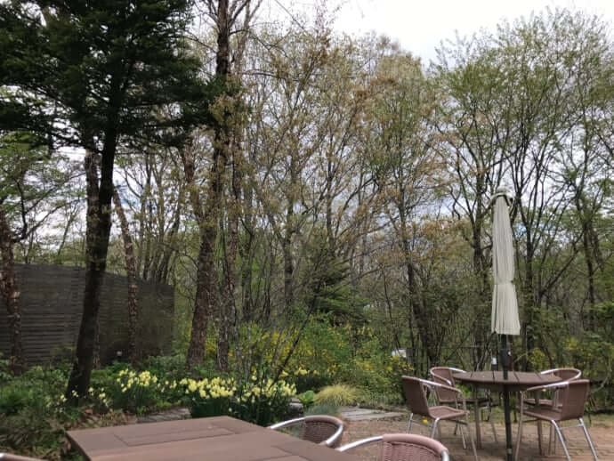 あのモーツァルトも 仙台の街中や郊外にあるおしゃれカフェ10選 Stayway