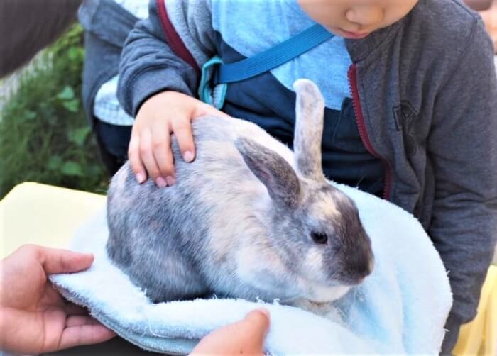 北海道 旭川市 旭山動物園を思い切り楽しめる10のこと Stayway