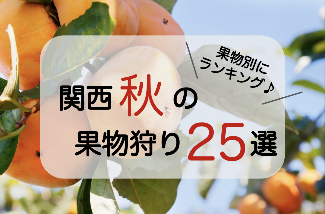 関西秋のおすすめ果物狩り25選 果物別にランキング Stayway