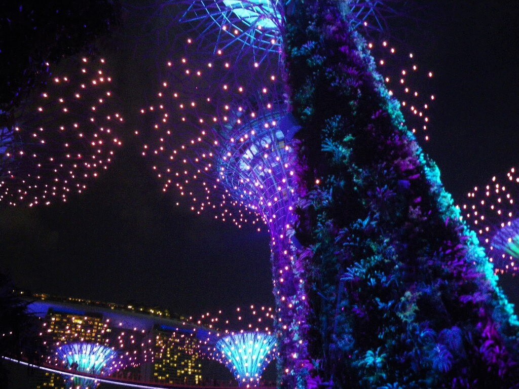 夜のシンガポール マリーナ ベイ セントーサの光と水のショー Stayway