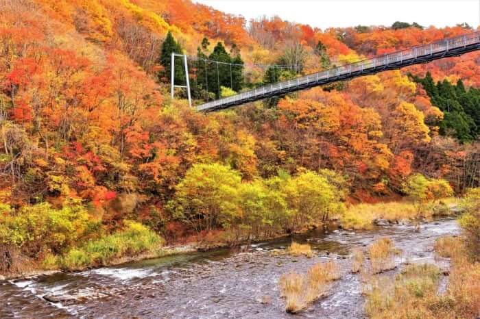 宮城 仙台の紅葉狩り 在住者おすすめのコースや見頃時期をご紹介 Stayway