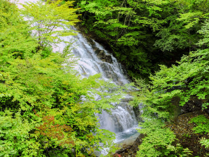 群馬 在住者おすすめ マイナスイオンたっぷり癒やされる名滝１０選 Stayway