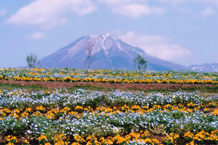 山陰 山陽おすすめ周遊旅行はこれで決まり Stayway