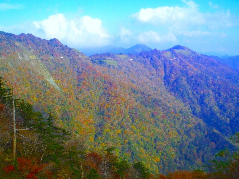 冬でもバイクで走れる 愛媛県のおすすめツーリングスポット８選 Stayway