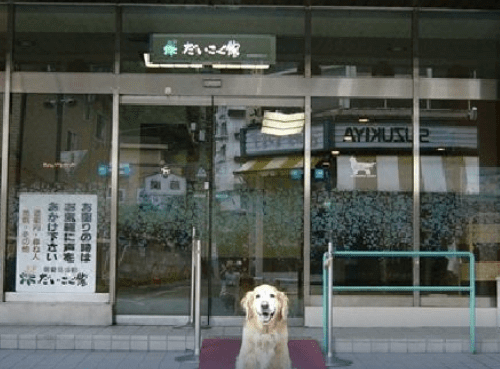 ペット可ホテル 関東で泊まるならここ おすすめの宿１０選 Stayway