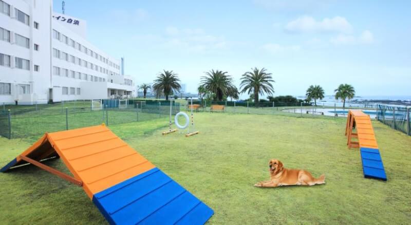 千葉 木更津 館山 南房総 鴨川 九十九里 のペット同伴可能な宿10選 Stayway