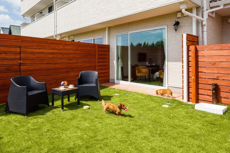 ペット可ホテル 千葉のリゾートをペットと満喫 おすすめ１０選 Stayway