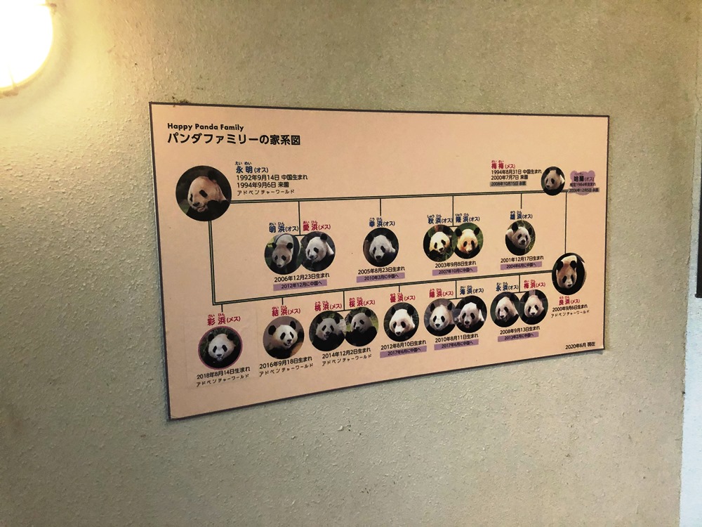 和歌山 パンダだけじゃないアドベンチャーワールドの魅力を解説 Stayway
