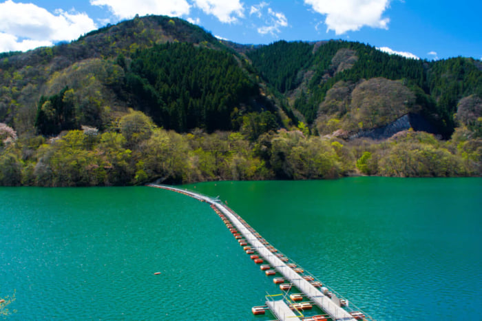 関東で大自然に触れる 星空がきれいに見えるスポット選 Stayway
