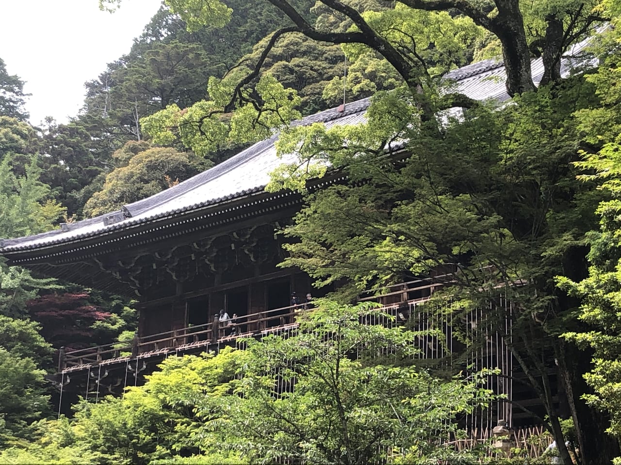 兵庫 城崎温泉に行ったら泊まりたい 憧れの高級旅館ランキング Stayway